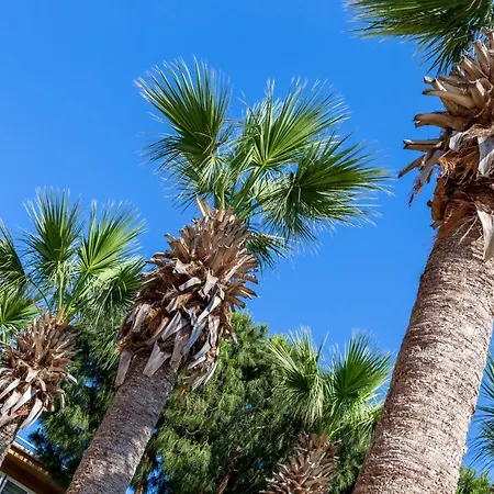 Отель Yelken Mandalinci Spa&wellness 4*