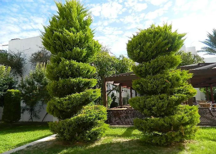 Hotel Yelken Mandalinci Spa&Wellness Hotel Turgutreis