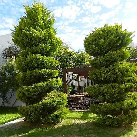 Hotel Yelken Mandalinci Spa&wellness Turgutreis